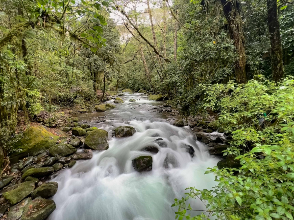 Řeka Savegre v NP Quetzales.