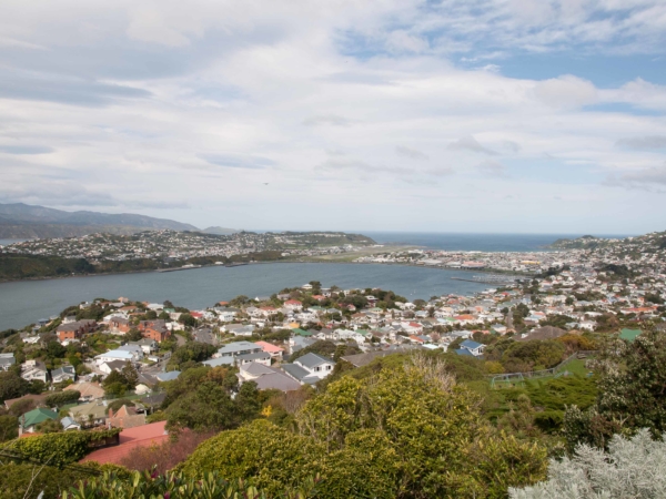 Panorama Wellingtonu.