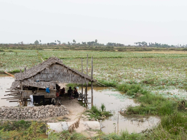 Cestou z Siem Reapu k vodní vesnici - cosi jako farma po kambodžsku.
