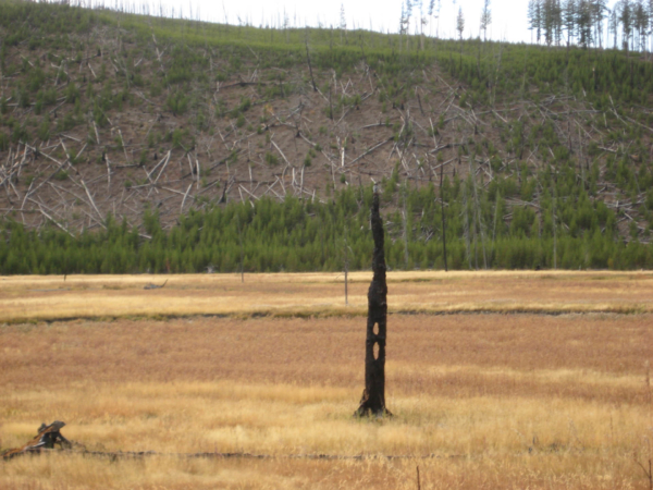 Typická krajina v Yellowstone.