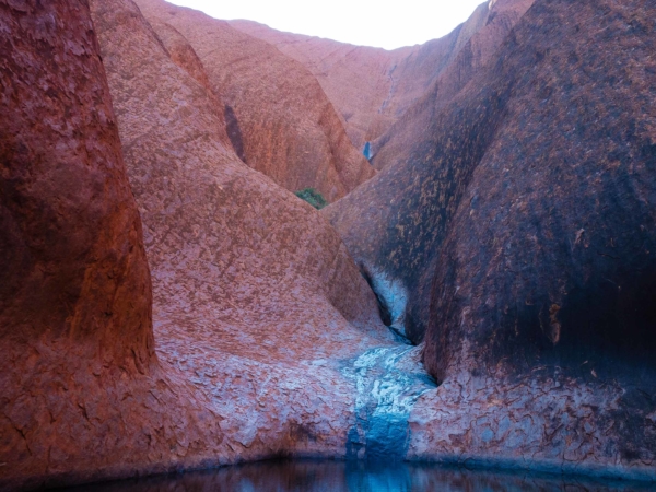 V jižní části skály Uluru v místě zvaném Mutitjulu waterhole.