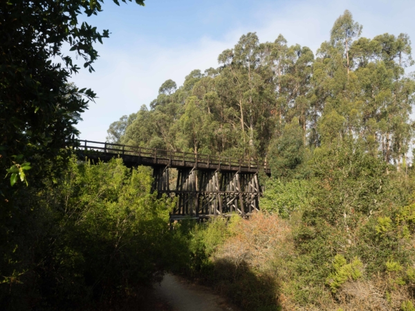 Dřevěný železniční most - stále funkční.