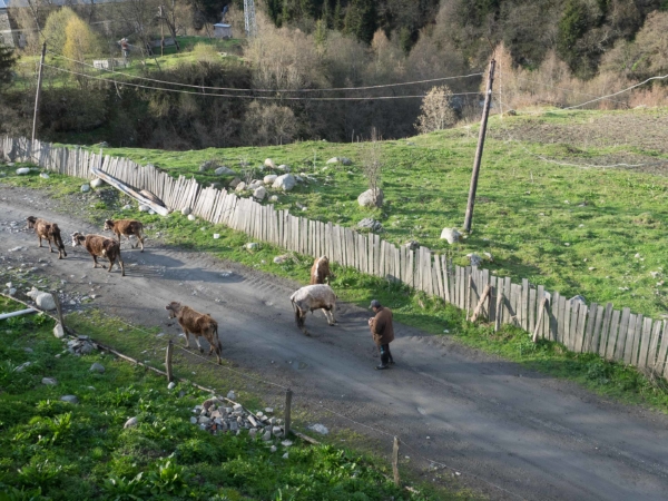 Hlavní tah mezi městečkem Mestia a Ushguli. NP Svaneti.